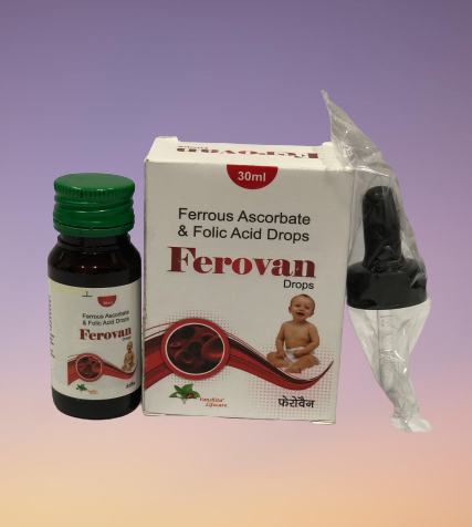 24. Ferovan